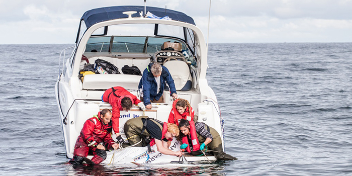 Tuna tagging. Photo: Lars Norman Hestbæk/WWF Denmark