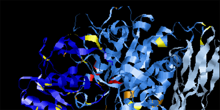 lactococcus proteinase