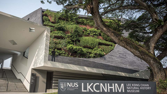 Natural History Museum, National University of Singapore (photo: National University of Singapore).
