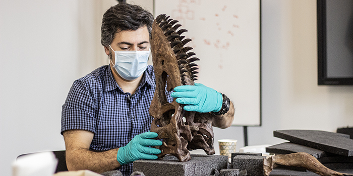 Forskere fra DTU Fysik og DTU Compute har i marts 2021 hjulpet Statens Naturhistoriske Museum i København med 3D-scanning af et 66 millioner år gammelt Tyrannosaurus rex-kranium, kaldet Casper. Scanningen er sket på 3D Imaging Center, 3DIM, i Lyngby i regi af det danske projekt DaSSCo, hvor Danmarks naturhistoriske museer sammen med DTU og med penge fra Uddannelses- og Forskningsministeriet skal opbygge en national platform for digitalisering af naturhistoriske samlinger. Foto: Hanne Kokkegård, DTU Compute