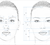 Til at estimere ansigtstræk har Jens Fagertun opbygget statiske modeller over både DNA’et og ansigtstræk, hvorefter han har forsøgt at finde ud af, hvilke DNA-strukturer, der ansporer til hvilke ansigtstræk. Illustration: Jens Fagertun 